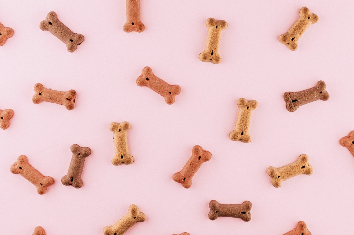 Bone shaped dog treats scattered across a solid light pink background