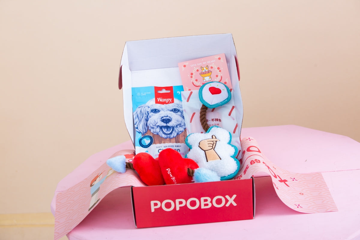 A dog-themed popobox with treats and toys