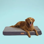 Orthopedic Memory Foam Dog Bed for Extra Large Dogs, Waterproof Lining and by SLEEPZONELIFE