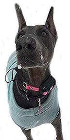 Sparky Pet Co - ECollar Replacement Strap - Bungee Dog Collar - Waterproof - - Image 6