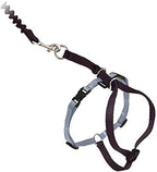 PetSafe Come With Me Kitty Cat Harness & Bungee Leash - Image 4