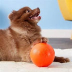 Jolly Pets Bounce-n-Play Dog Toy Ball, 4.5 Inches/Small, Model Number: 2545 OR - Image 6