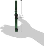 LupinePet Basics 1/2" Green 10-16" Adjustable Collar - Image 3
