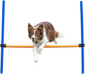 TRIXIE Agility Hurdle Adjustable Dog Jump, Dog Obstacle Course Equipment 1 x by TRIXIE