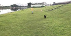 AMAGOOD Dog/Puppy Obedience Recall Training Agility Lead-15 ft 20 ft 30 ft 50 - Image 5