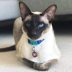 Kittyrama Monte Carlo Cat Collar - Image 7