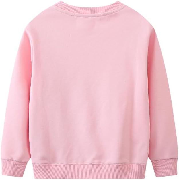 Toddler Baby Girls Cotton Sweater, Long Sleeve Crewneck Sweatshirt Pullover - Image 3