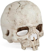 Uniclife Aquarium Skull Reptile House Decor Resin Head Skeleton Ornament - Image 8