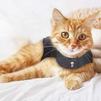 ThunderShirt For Cats - Image 4