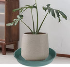 6 Pack of 7 inch Plant Saucer, Heavy Duty Plastic Plant Water Tray 7 inch Round - Image 7