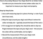 Baltic Amber Dog & Cat Collar - Image 2