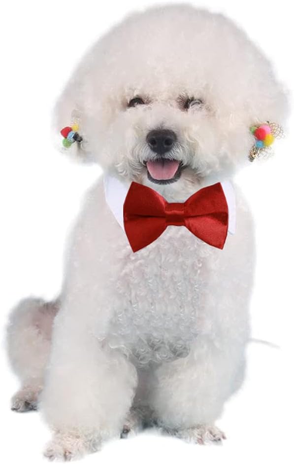 4 Pieces Pets Dog Cat Bowtie Pet Costume Adjustable Formal Necktie Collar - Image 7