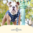 Reversible Dog Harness Walking Halter - Image 5
