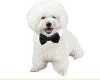 6 Pieces Pets Dog Cat Bowtie Pet Sunglasses and Summer Pet Straw Hat - Image 4