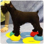 FitPAWS Paw Pods for Dog Agility - Image 6