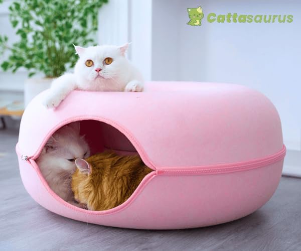Cattasaurus Peekaboo Cat Cave Donut - Image 7