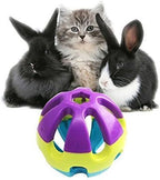 Hypeety Pet Parrot Toy Plastic Colorful Birds Ball - Image 8
