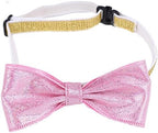Happy Birthday Dog Party Supplies Kit - Image 9