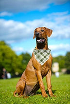 ARING PET Christmas Dog Bandanas - Image 7