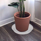 2 Pack of 12 inch Plant Saucer, 1.7" Depth Tray, Large Deep Garden Plastic - Image 4