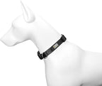 Dog Collar Black Basic Adjustable Dog Collars - Image 4