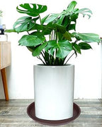 2 Pack of 14 inch Plant Saucer, Heavy Duty Round Plant Trays - Image 6