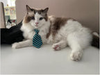 4 Pieces Pets Dog Cat Bowtie Pet Costume Adjustable Formal Necktie Collar - Image 3