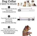 Roses&Poetry Reflective Dog Collar - Image 8