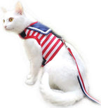 Cat Harness and Leash for Walking Escape Proof, Adjustable Cat Vest Harness by Yizhi+Miaow