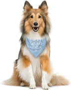 Big Sister Dog Bandana, Light Blue Pet Scarf Accessories, Pet Triangle Scarf - Image 3