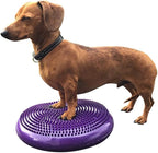 Dog Balance Disc Cushion 14" - Image 4