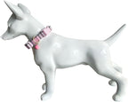SuperBuddy Dog Collar and Leash, Breathable Adjustable Dog Collar-Safe - Image 4