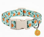 Dog Collar, Spring Summer Dog Collar by Britwicfr