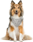 Big Sister Dog Bandanas, Light Gray Dog Bandana, Pet Triangle Scarf Accessories - Image 4