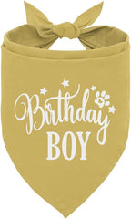 Birthday Boy Dog Bandanas, Dog Birthday Bandana, Birthday Bandana by corner+wind
