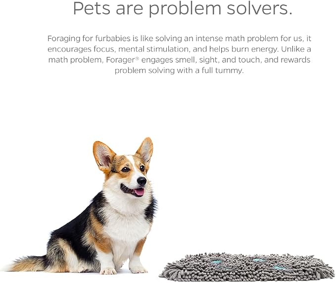 Pet Parents Forager Snuffle Mat - Image 5