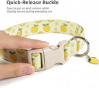 Dog Collar, Spring Summer Dog Collar - Image 2