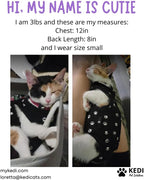 Kitten Recovery Suit Female, Kitten Onesie After Spay, Cat Surgery Suit Female - Image 7