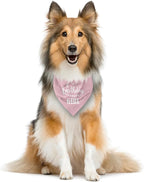 Birthday Girl Dog Bandana - Image 3