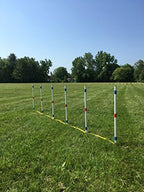 Dog Agility Equipment Deluxe Beginner Set, 3 Bar Jumps, 6 Weave Poles, 1 - Image 9