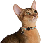 2 Pack Glow in The Dark Cat Collar - Image 6
