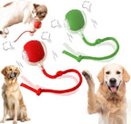 2 Packs New Electric Dog Ball Toy by AUTRETY