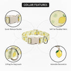 Dog Collar, Spring Summer Dog Collar - Image 3