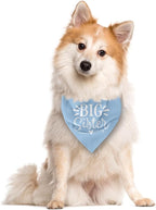 Big Sister Dog Bandana, Light Blue Pet Scarf Accessories, Pet Triangle Scarf - Image 2