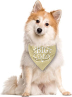 Big Sister Dog Bandanas, Light Yellow Dog Bandana, Pet Scarf Triangle - Image 2