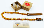 Amber Collars for Dogs & Cats - Image 6