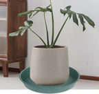 2 Pack of 14 inch Plant Saucer, 1.7" Depth Tray, Large Deep Garden Plastic - Image 5