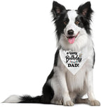 Happy Birthday Dad Dog Bandana, Dad's Gift Dog Bandana, Pet Scarf Accessories - Image 3