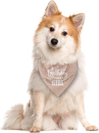 Birthday Girl Dog Bandana - Image 2