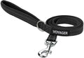 Best Pet Supplies Voyager Reflective Dog Leash or Collar by BestPetSuppliesLLC